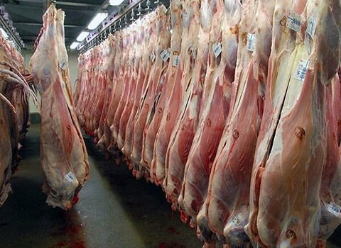 تصویر 3 از گوشت گوسفندی با استخوان تازه مناسب آبگوشت و خوراک